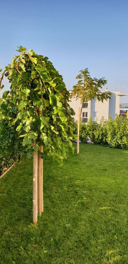 Sea View Apartments ז'אבוריץ' מראה חיצוני תמונה
