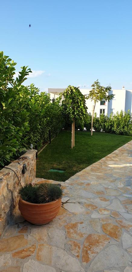 Sea View Apartments ז'אבוריץ' מראה חיצוני תמונה